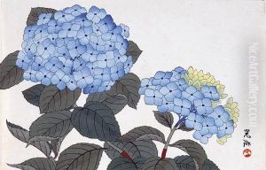Hortensje by Ogata Korin