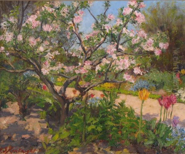 Apple Blossom In Sunlight - view 1