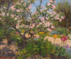 Apple Blossom In Sunlight Apple Blossom In Sunlight
