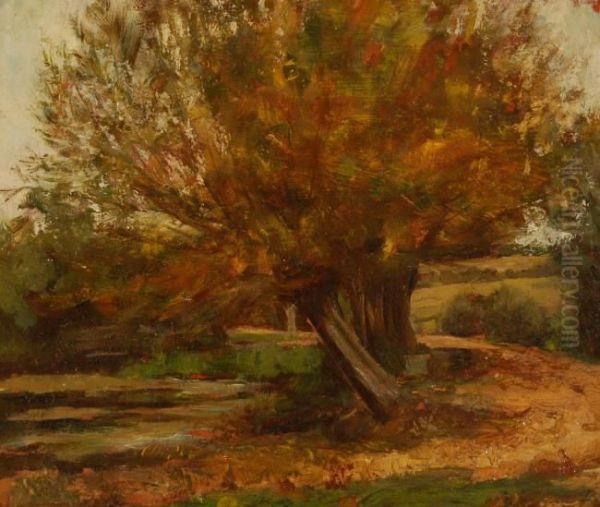 Tree Lined Ponds - view 1