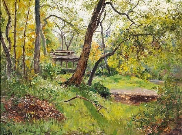 Clearing In The Woods - view 1
