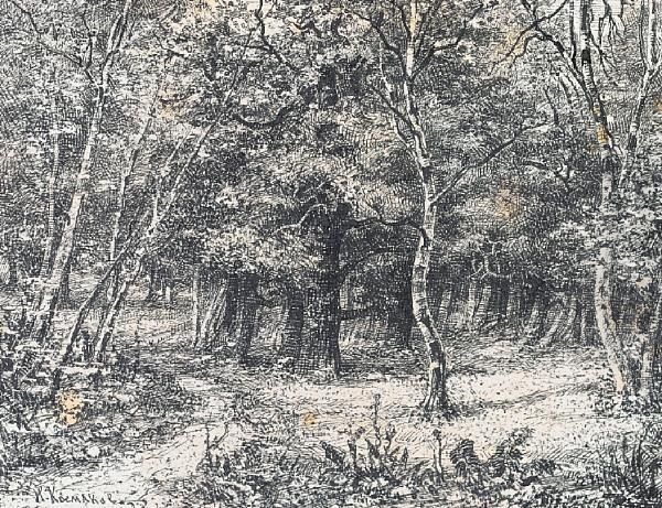 Deep In The Forest - view 1