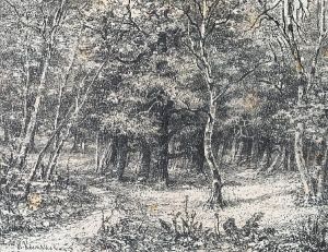 Deep In The Forest by Ivan Aleksandrovich Kosmakov