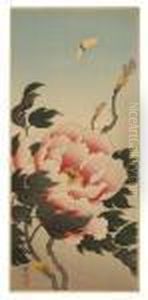 Butterfly And Peonies by Ohara Koson