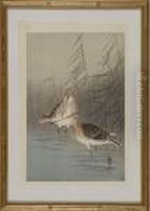 Depicting Two Snipes Waiting In A Marsh by Ohara Koson