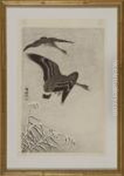 Geese In Flight Above Snow-covered Grasses - view 1