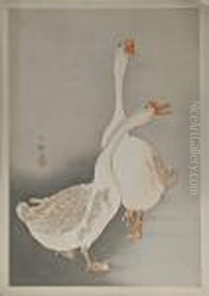 Two White Geese - view 1