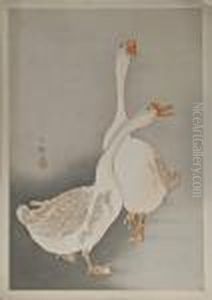 Two White Geese by Ohara Koson