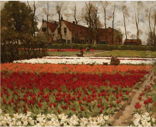 Peasants At Work In A Bulb Field - view 1