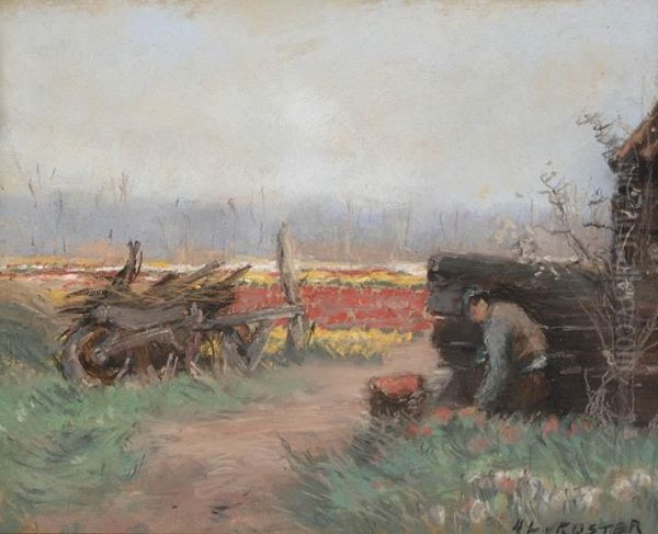 Field Of Flower Bulbs - view 1