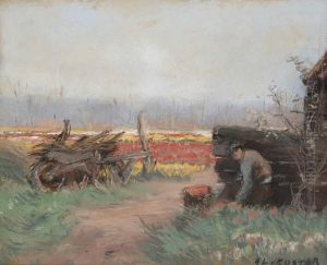 Field Of Flower Bulbs by Anton Lodewijk Koster