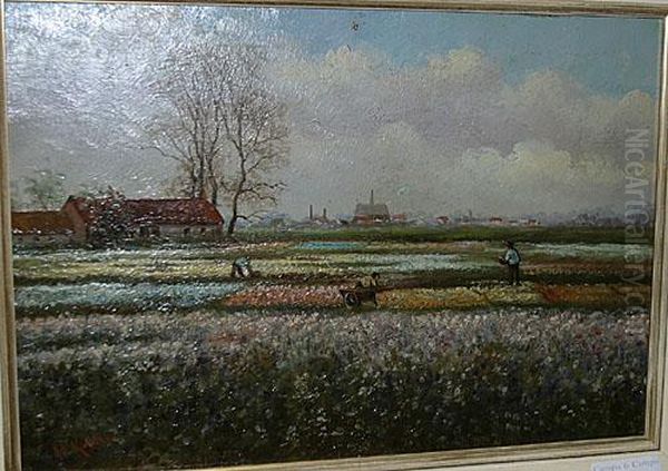 Bloembollenvelden. - view 1