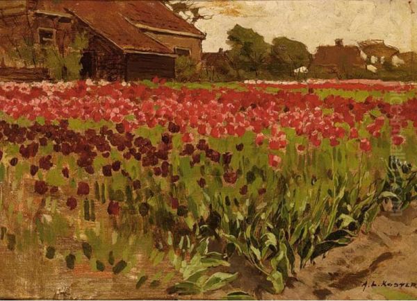 Paarsche En Roode Darwin Tulpen - view 1