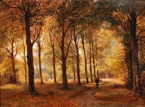 Le Bois De Haarlem In Holland