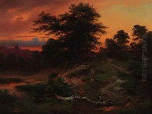 Nocturnal View Of A Wooded Landscape
