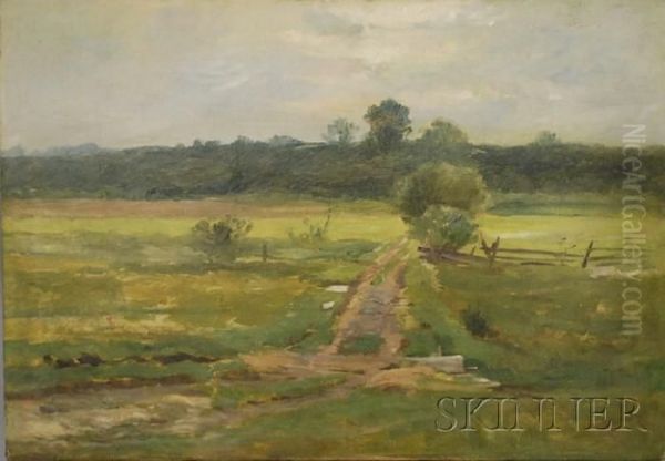 Path Through A Meadow - view 1