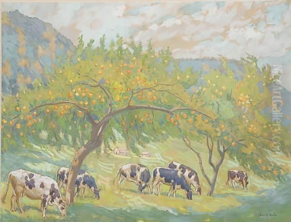 Cows Grazing In Orchard - view 1