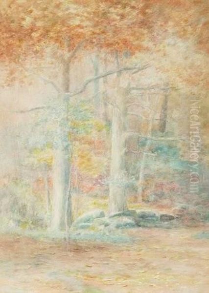 Forest View With Flowering Bushes - view 1