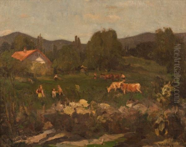 Nyari Delelott A Mezon - view 1