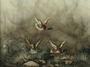 Einfallende Enten by Hermann Kraemer
