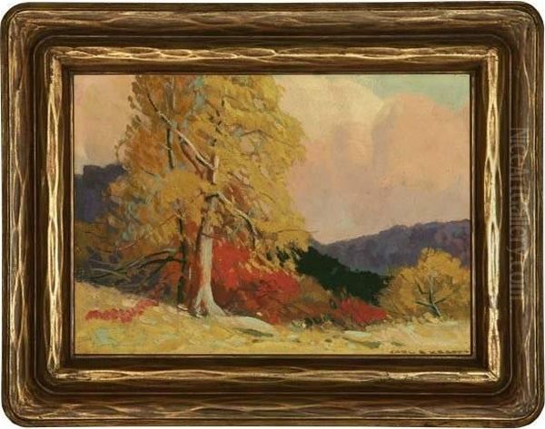 Sycamore - view 1