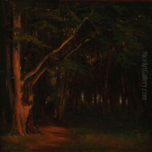 Det Indre Af En Bogeskov.
Aftensol by Frederik Kraft