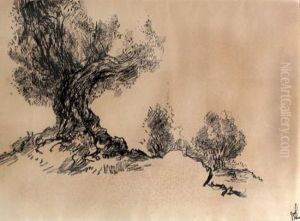 Olive Tree In A Landscape