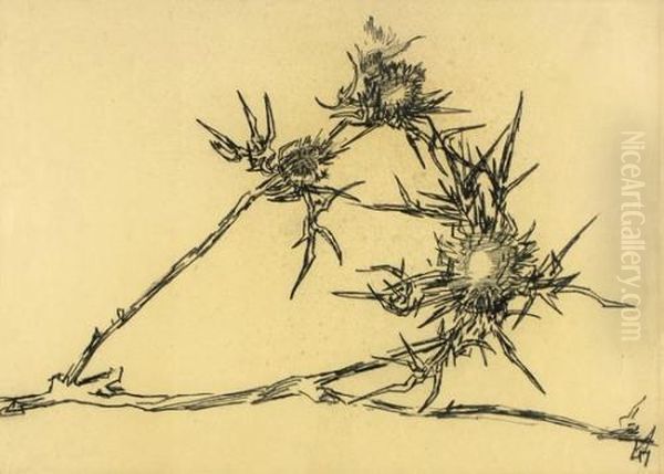 Thorns - view 1