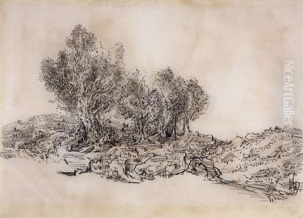 Landscape - view 1