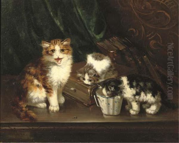 Curious Cats - view 1