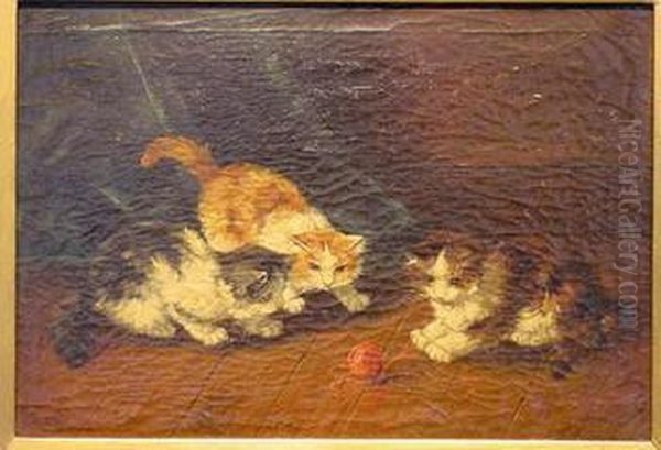 Playful Kittens - view 1