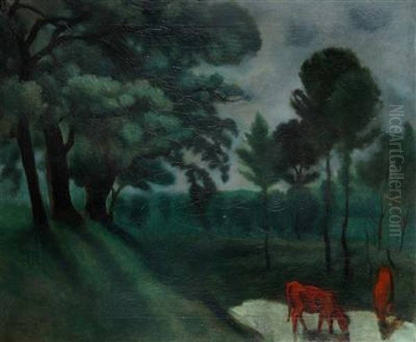 A Landscape In The Turnov Area - view 1