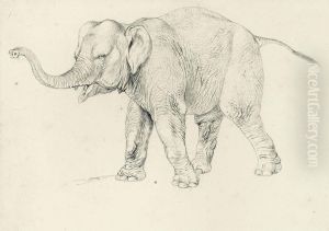 A Preparatory Study Of An Elephant For Brehms Tierleben by Robert Kretschmer