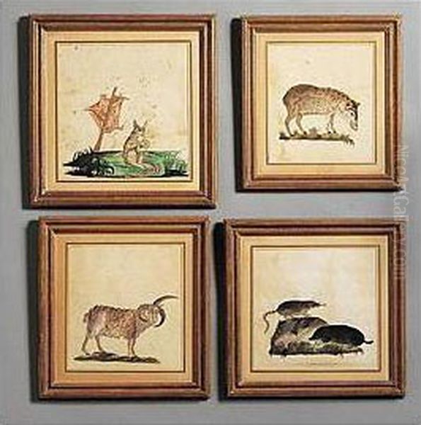 Two Watercolors Depicting Rodents, Signed Robert Kretschmer Cheivonitis Variegatus Ill.; Together With Six Similar Rodent Watercolors. All Within Giltwood Frames. (8 Pieces) - view 1