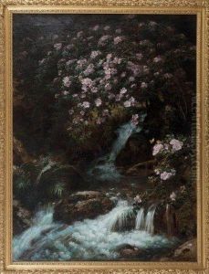 Cascade D'alsace by Alexis Kreyder
