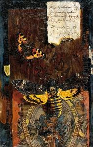 Still Life With A Redadmiral Butterfly by Hermann J. Gottlieb Kricheldorf