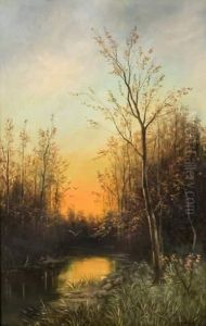 Crepuscule En Foret