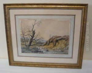 Paysage Anime