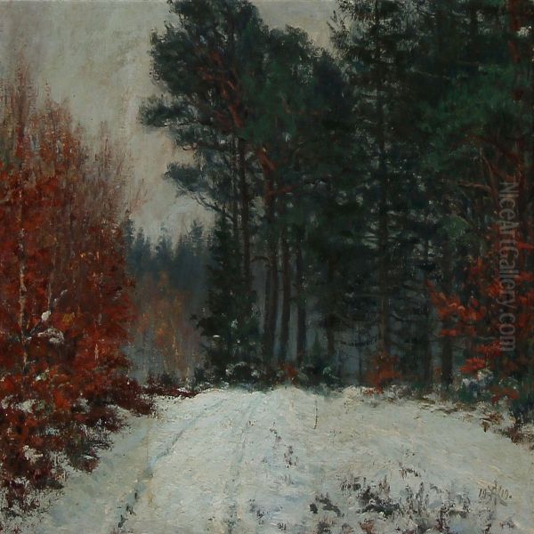 Winter Day In Tisvilde, Denmark - view 1