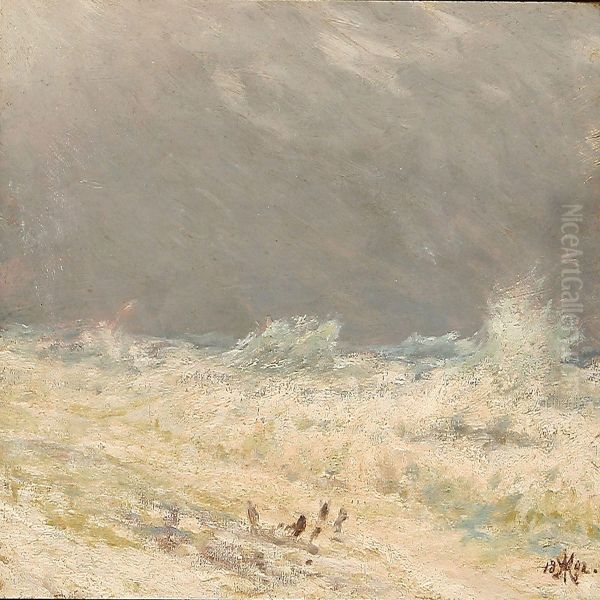 Breakers At Skagen, Denmark - view 1