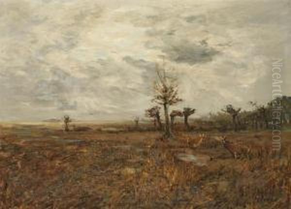 Herbstlandschaft Mit Rotwild - view 1