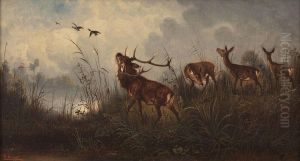 Rotwild Am Seeufer by Christian Johann Kroner