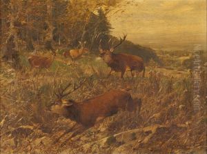 Der Hirschkampf by Christian Johann Kroner