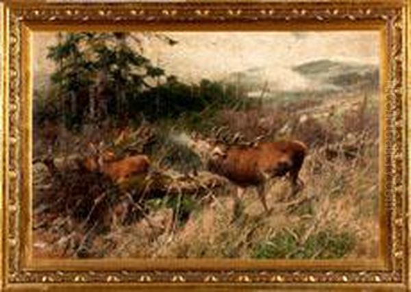 Groseherbstlandschaft Mit Rothirsch - view 1