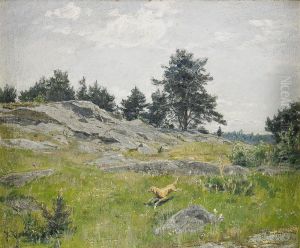 Sommarlandskap Med Jagare Och Hund