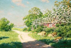Country Road