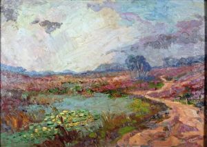 Landschap Met Waterlelies In Een Ven
