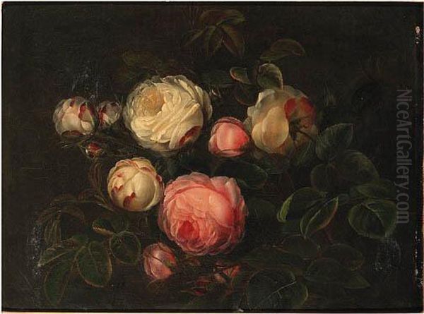 Peonies - view 1