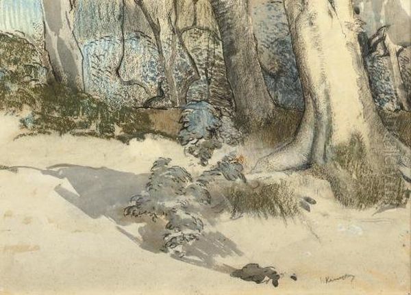 A Forest Edge - view 1