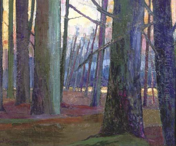 A Forest - view 1